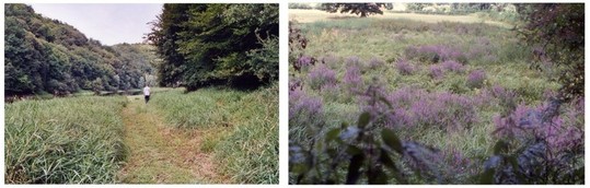 Bordure de la Tardes et bordure du Cher