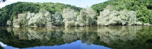 Panorama de la Tardes à Dorgues