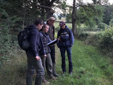 Détection des chiroptères avec un enregistreur