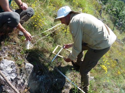 Inventaire de la flore par le CBNMC