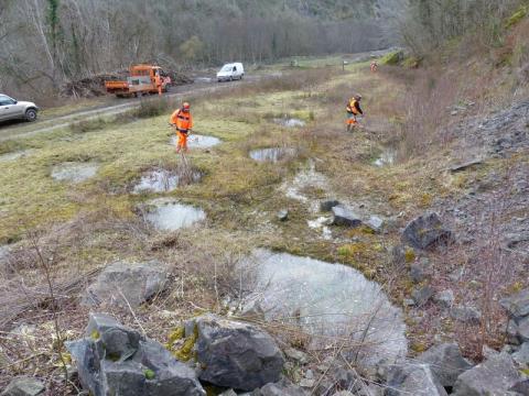 Débroussaillage des mares