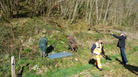 Pose de tôles dans des zones ensoleillées