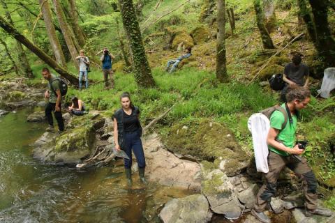 Prospection naturaliste en bordure du Cher